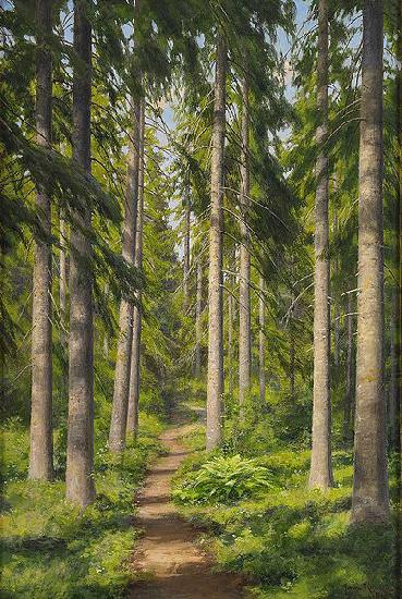 johan krouthen Sunlit forest path